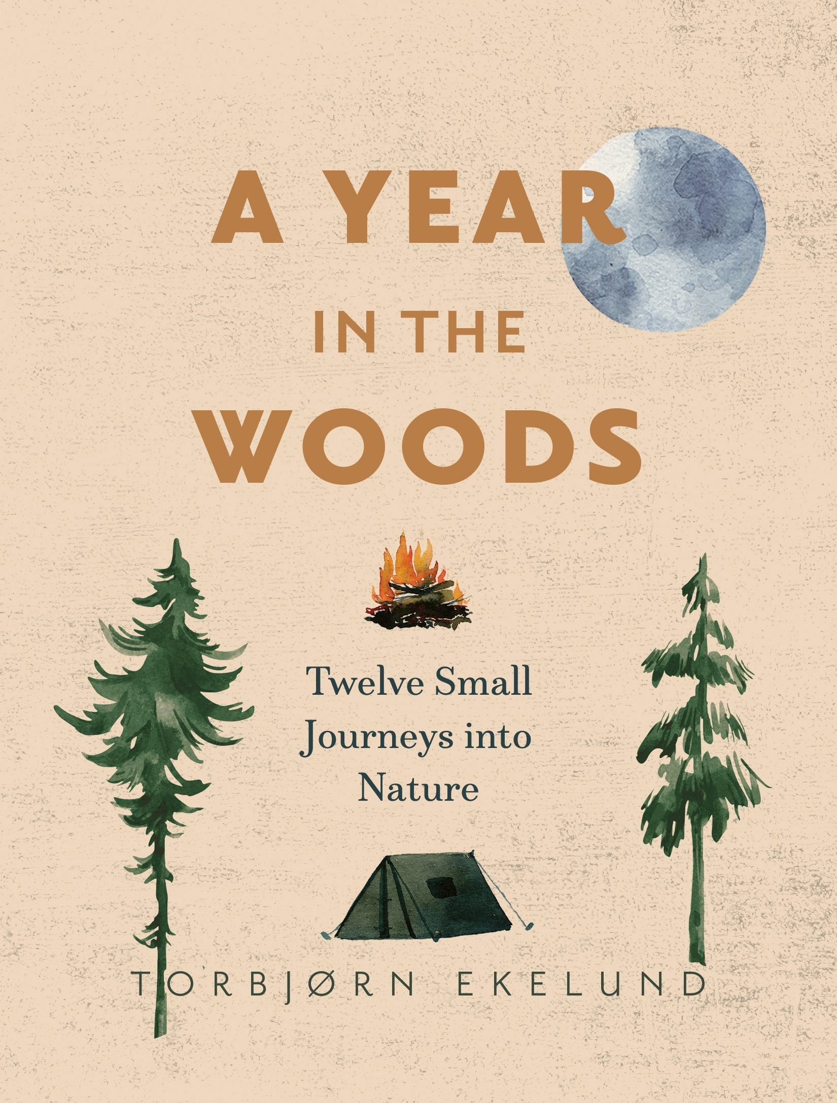 Book cover image for A Year in the Woods ISBN: 9781771645126